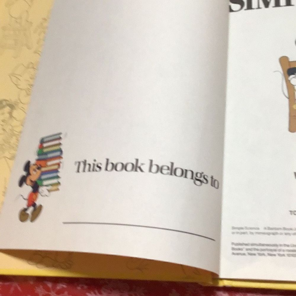 Vintage Walt Disney Fun to Learn books - Picture 6 of 13